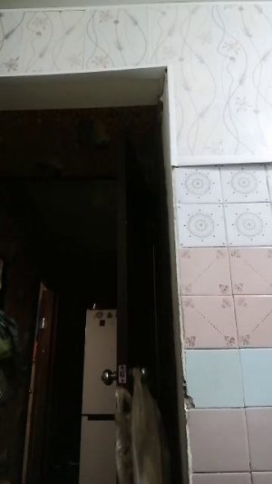 Реклама (вернее-пародия на неё).