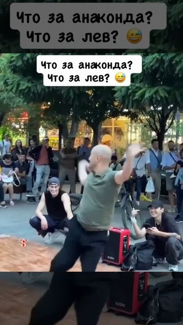 Что за анаконда?? что за лев 😅 смотреть онлайн