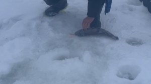 copy_B60E3112-B995-4BEF-AEB4-4AA511A4B648