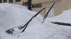 ПРОБЛЕМЫ С РАСЧИСТКОЙ