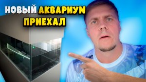 Идеальный риф? Он у меня на пороге