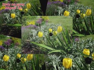 Немного тепла в ленту. Весна 2025г.