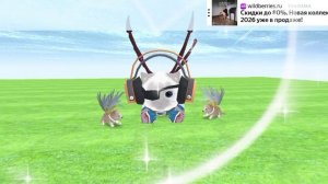 ❦︎Кошка это милота и точкаꨄ︎.