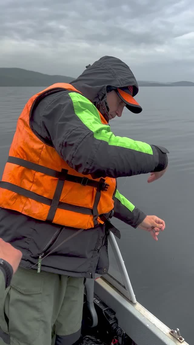 Налим на поставушку смотреть онлайн