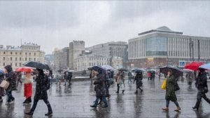 Привет, последняя любовь моя