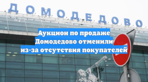 Аукцион по продаже Домодедово отменили из-за отсутствия покупателей