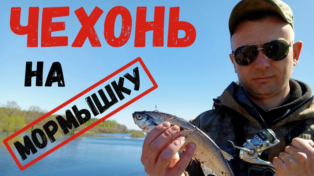 Весенний МОРМЫШИНГ/чехонь АТАКУЕТ#рыбалка#мормышинг#чехонь