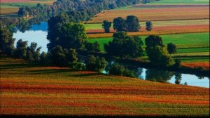 441.=КРАСОТЫ ЗЕМНЫЕ=. Сл. А. Зенцов, муз. и исп. В. Лашевский, монтаж Н. Попова. 02.09.2024.