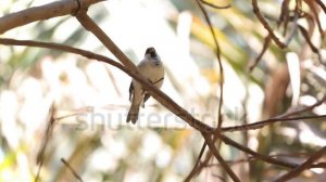 Тест рекламы 12