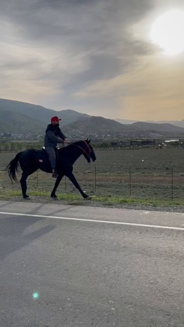 Эффектный всадник в Дагестане смотреть онлайн