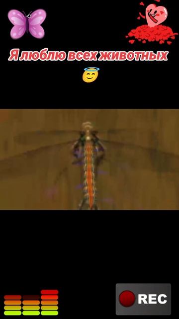 Я люблю всех животных😇 смотреть онлайн