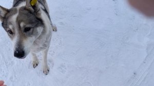 Герда бежит ко мне