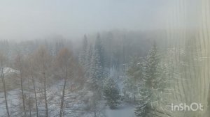 Мороз -45. / дела в выходной / мои всходы цветов