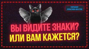 Знаки свыше — это ложь! Почему мы сами создаём совпадения 💥