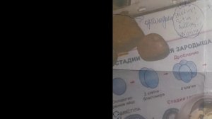 сознание или подсознание? что важнее?