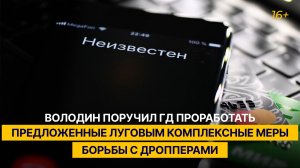 Володин поручил ГД проработать предложенные Луговым комплексные меры борьбы с дропперами