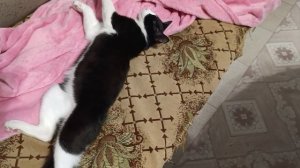 А мы засони