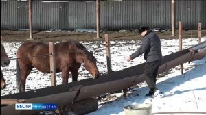 Агрокомплекс Ингушетии демонстрирует высокие темпы роста производства