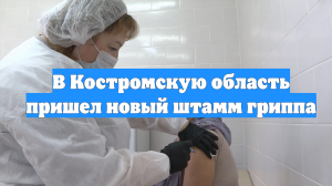 В Костромскую область пришел новый штамм гриппа
