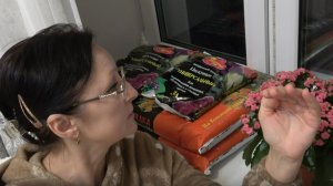 19-01-26 Матушка земля для рассады.. В предвкушении посевов. Сравниваю составы грунтов.