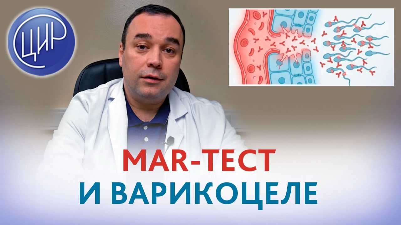 МАР-тест ухудшается. Может ли это быть связано с варикоцеле? Эмиль Равильевич Абдулхакимов. смотреть онлайн