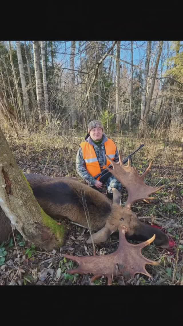 Опора для стрельбы  Blaser смотреть онлайн