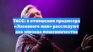 ТАСС: в отношении продюсера «Ласкового мая» расследуют два эпизода мошенничества