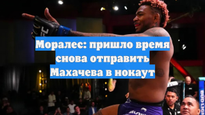 Моралес: пришло время снова отправить Махачева в нокаут