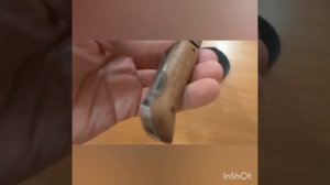 Складной нож Оса