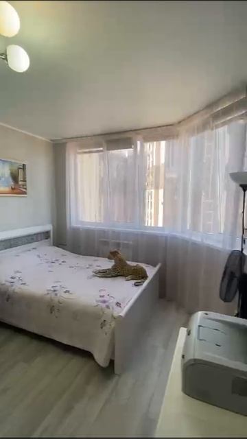 Недвижимость Анапы, квартира с красивым видом на море! Тел: 89184725760. смотреть онлайн