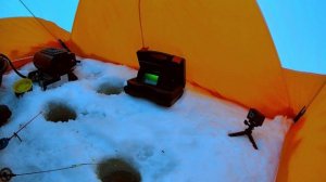 Клюёт одна сорога.