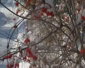 На Крещенье за водой...