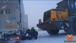 В Красноярском крае спасли водителя и 30 коров, замерзающих на трассе