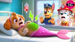 Щенячий патруль и Маршалл. Залипательное видео. Мультфильм для детей и малышей. Анимация 85