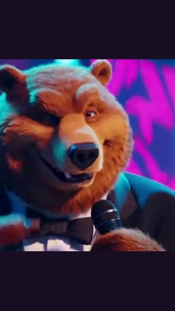 мишка развлечение певец милота медведь