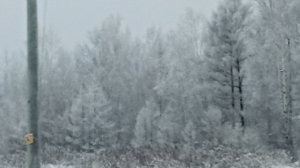 Сельские будни. Какой тариф за свет?