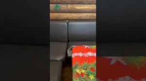 Беседки закрытого типа.