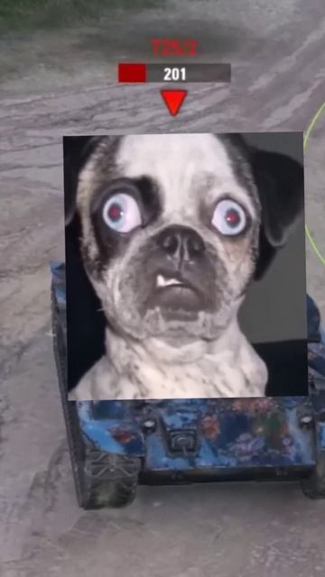 Это издевательство какое то ! смотреть онлайн