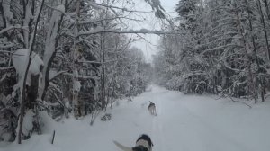 Продолжение, часть вторая, от 18.01.2025г.