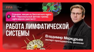 Работа лимфатической системы | Владимир Меркурьев (FPA) | Бесплатный курс «Персональный тренер»