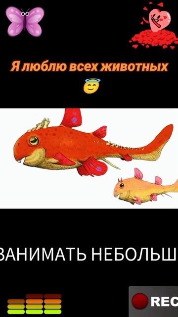 Я люблю всех животных😇 смотреть онлайн