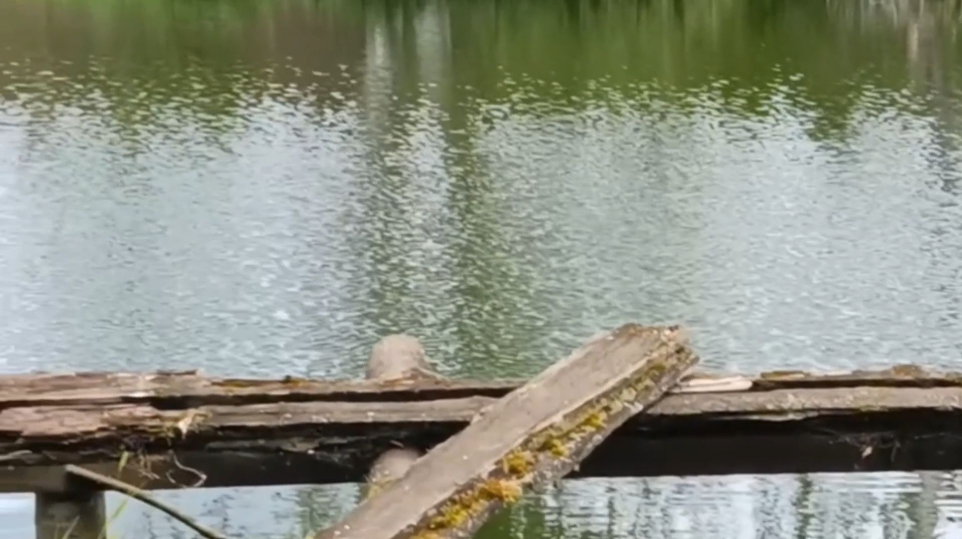 ДЕРЕВЕНСКОЕ смотреть онлайн