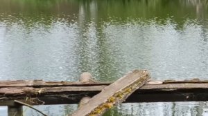 ДЕРЕВЕНСКОЕ