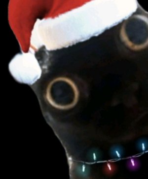 слушаю песни со олисой 😂