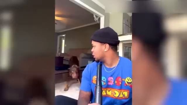 ПРИКОЛЫ С КОТАМИ Смешные ЖИВОТНЫЕ с озвучкой Смешные коты