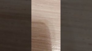 вторая часть приборки на конюшне schleich