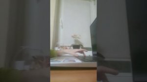 строим дом для крутых пацанов