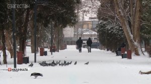 Дагестан стал третьим в России по низкому уровню преступности