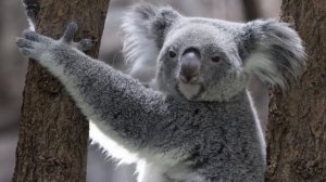 21  2026_01_17_Обсуждение_Семинар_Святилище_Тема_11_Хлебное_Приношение