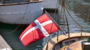 Посол РФ: Дания оказала помощь Украине в размере €10,5 млрд